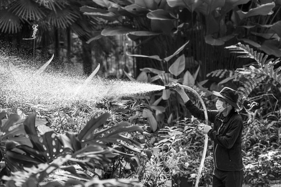 Dammann-Insolvenz: Traditionsreicher Feldspritzen-Hersteller kämpft um Sanierung - Dammann field sprayer