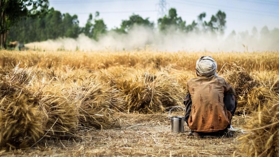Griechenland öffnet Agrarsektor für 5.000 ägyptische Saisonarbeiter - greek agriculture workers